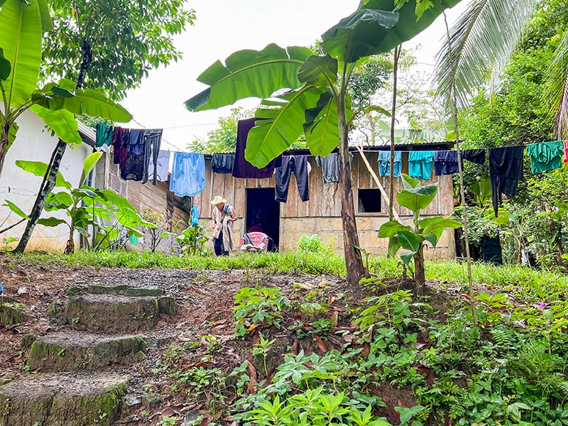 Fifteen Days of Food