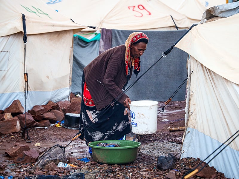 The Plight of the Displaced