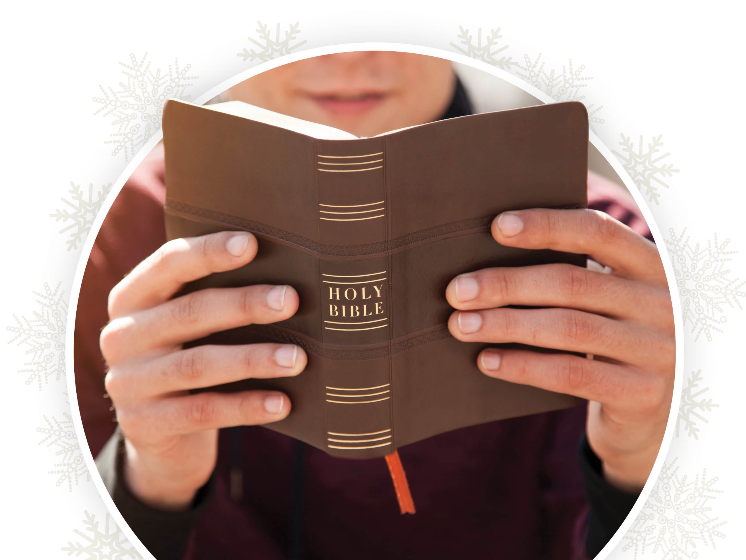 Christmas Greetings from a Bible Distributor